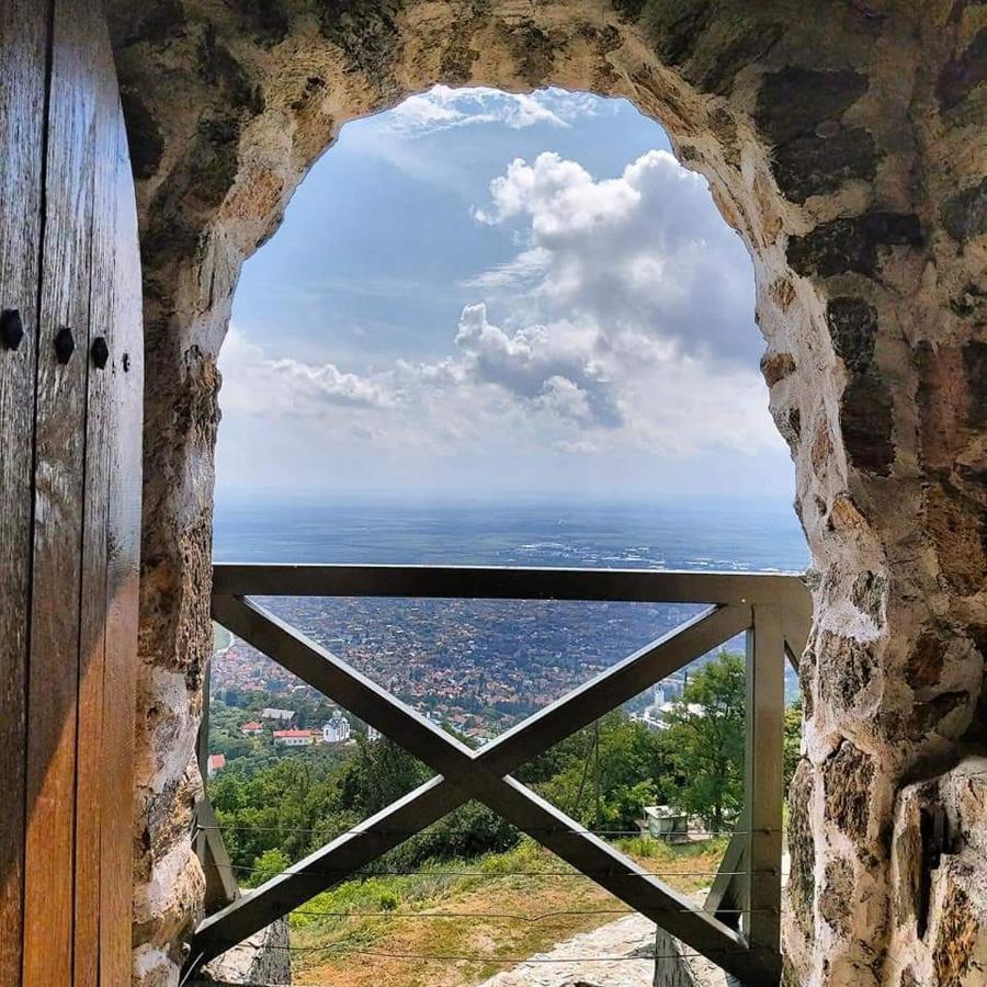 Apartmán Hulk Vrsac Exteriér fotografie