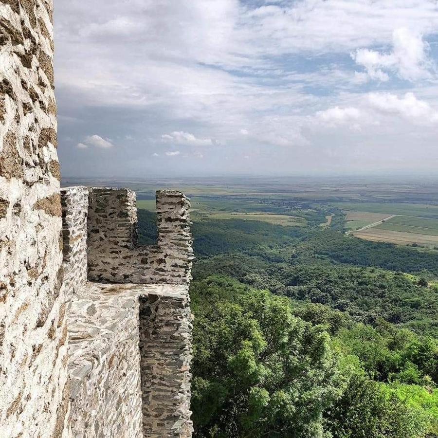 Apartmán Hulk Vrsac Exteriér fotografie