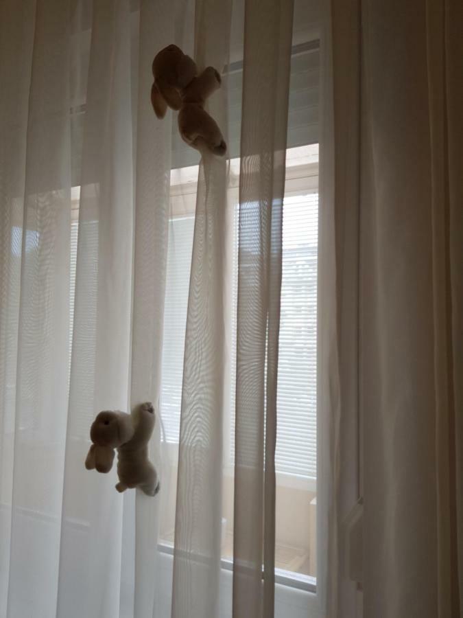 Apartmán Hulk Vrsac Exteriér fotografie